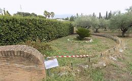 Scoperto e sequestrato un allevamento illegale di tartarughe di terra a Cisterna