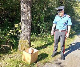 Abbandonano tre cuccioli di cane nel canale: salvati dai Carabinieri