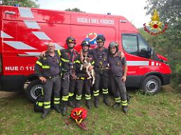 Latina, i Vigili del Fuoco salvano un cucciolo caduto in un dirupo di oltre 30 metri