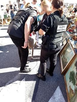 Controlli per i cani al guinzaglio. Pochi in regola: multe in arrivo