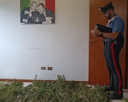 Nascondeva in casa sei chili e mezzo di marijuana, 44enne in arresto