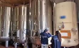 Cori, sequestrata azienda vinicola: i Nas riscontrano pessime condizioni igienico-sanitarie