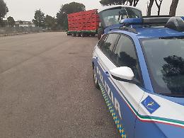 Trasportava frutta nel rimorchio privo di immatricolazione, multa e sequestro