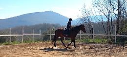 Giù da cavallo, bimba grave 