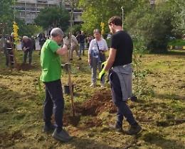 Per mettere radici, alberi piantati in via Bruxelles 