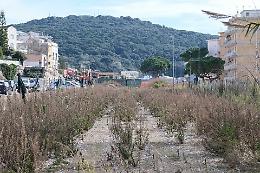 Ex stazione di Gaeta, Capponi. "Per la vendita &egrave; necessaria la perizia del Demanio"
