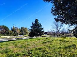 Torna la passeggiata del ciclo Natura in città, organizzata dal Patto di collaborazione Gli Alberi di Nascosa