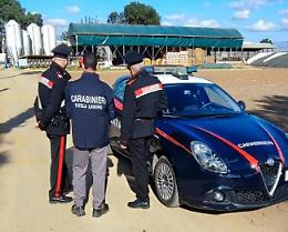 Caporalato, sospese 7 aziende agricole e denunciate 13 persone dopo i controlli dei Carabinieri