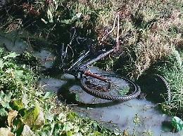 Travolto da un'auto, è grave: girava in bicicletta senza luci
