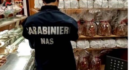 Settanta panettoni e cinque pandori sequestrati in un forno dai militari del Nas 