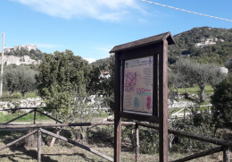 Francigena e Appia Antica, progetto per facilitare la fruibilità dei "Cammini"