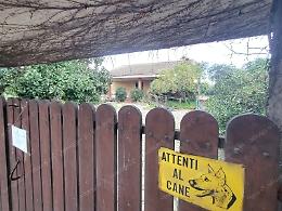 Sbranata dai cani di un amico, muore una ragazza