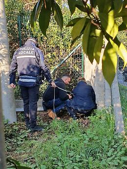 Sbranata dai cani, tre mesi prima era stato azzannato il vicino novantenne