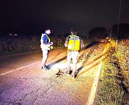 Sbanda con l'auto per evitare un animale e finisce fuori strada