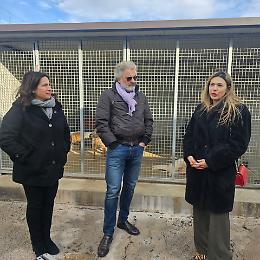 Sant’Antonio Abate, benedizione per i cani del Canile Comunale di Terracina