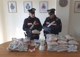 Presi con quattro chili di bulbi di papavero da oppio, tre indiani arrestati