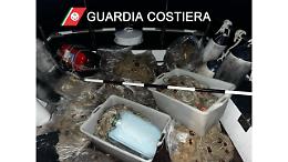 Quattro chilometri di reti da pesca abusive, il sequestro