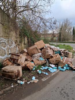 Cartoni di mascherine chirurgiche  scaricati sotto il ponte, scatta l'indagine 