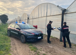 Bracciante indiano muore sul posto di lavoro, disposta l'autopsia