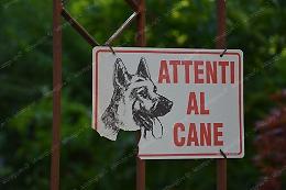 Sventato colpo in villa, ladri messi in fuga dal cane