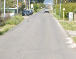 Travolge e uccide un cagnolino, caccia all'automobilista pirata e sdegno sui social