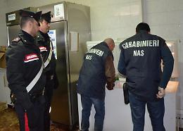 Controlli dei Nas, sospesi due ristoranti e sequestri in una macelleria nel pontino