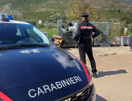 Rubano elettrodomestici e ferro nell'isola ecologica, denunciati