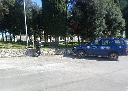 Cercavano lupi, trovano una discarica