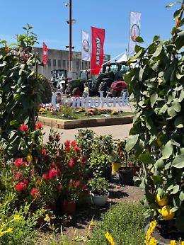Ultimo giorno di Mostra Agricola Campoverde tra stand, laboratori del gusto e spettacoli