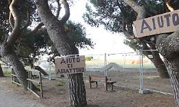 “Salvate gli alberi di Recillo”: il blitz di Legambiente contro i tagli nel parco di Minturno