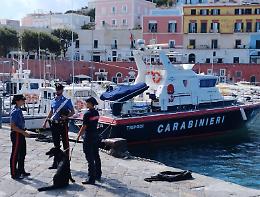 Controlli alle attività di ristorazione dell'isola di Ponza, multati quattro esercizi