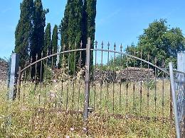 Il cimitero sepolto tra le erbacce