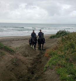 Controlli nel Parco Nazionale del Circeo: decine di multe per parcheggi selvaggi sulle dune