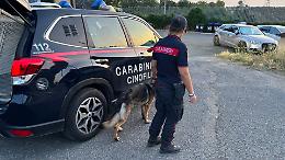 Alto Impatto, straordinari controlli nel territorio: denunciato un 45enne