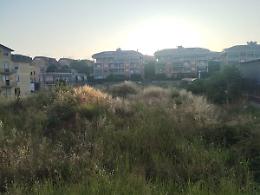 Erba alta e mucchi di terra, degrado nella buca dell'ex Cral