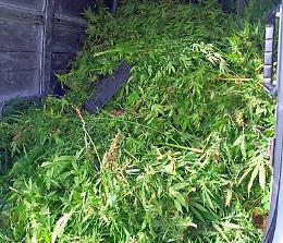 Carico di droga a Le Ferriere, cinque condanne