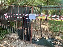 Lottizzazione abusiva sulle sponde del lago