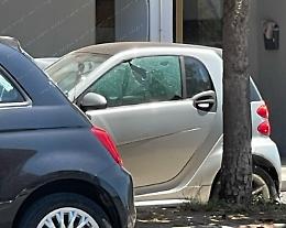 Bomba ad Aprilia, Fratelli d'Italia: "Atto grave ma lo Stato c'è e risponderà"