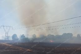 Incendio di sterpaglie in via del Lido, strada chiusa
