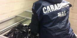 Controlli a tappeto del NAS sul litorale pontino: chiusi ristoranti e supermercati