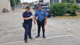Salvato dai Carabinieri, torna a volare il gheppio rimasto impigliato nei cavi elettrici