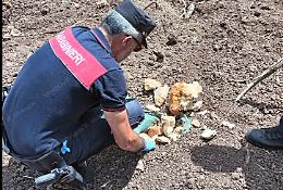 Disposta l'analisi dei rifiuti interrati nell'ex frigomarket Pacifico