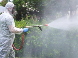 West Nile, prosegue la campagna di disinfestazione. Il Sindaco: “Prevenzione, strategia più efficace” 