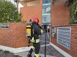  Trovata la gatta scampata all'incendio in casa, si era lanciata dal terzo piano
  