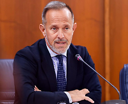 Xylella nel Lazio, incontro Regione-Confagricoltura: nessun rischio per gli ulivi