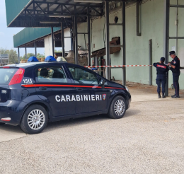 Sequestrato stabilimento di pellet per irregolarità ambientali