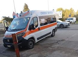 Una lite per il cane smarrito finisce a colpi di guinzaglio