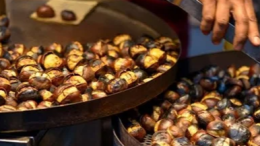 "Castagnata di Novembre 2025": Anzio celebra l’autunno tra gusto e solidarietà