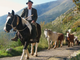 Addio a Giuseppe Minchella, l’ultimo pastore transumante