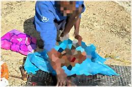 Nuovi guai per lo straniero che uccise e sezionò un cane a Sezze